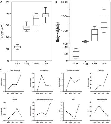 Relationship of environmental factors in pond water and dynamic changes of gut microbes of sea bass Lateolabrax japonicus